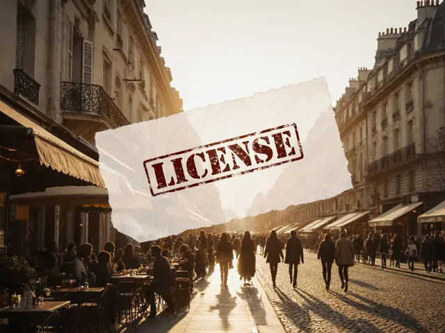 How Politics and Regulations Shape the Escort Industry in Paris